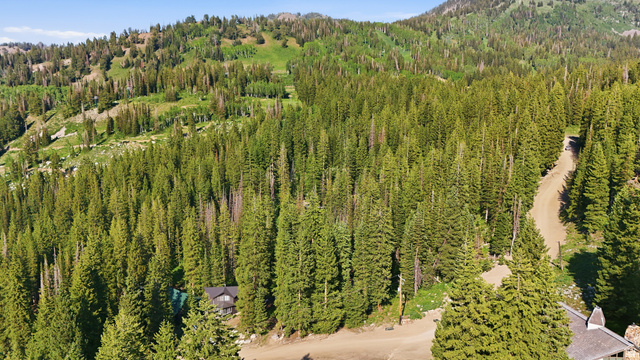 8505 South Snake Crk Road Salt Lake City, UT 84121 - Photo 60 of 67 Expansive forested landscape featuring a winding unpaved road, dense evergreen trees, and mountainous terrain