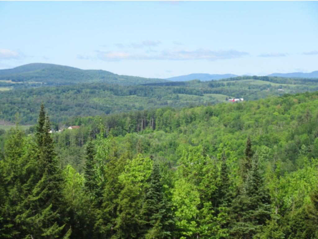 214 May Pond Road Barton, VT 05822 - Photo 22 of 29