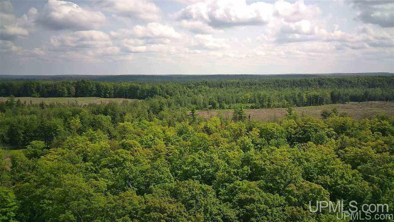 Tbd Sand Road, Unit 2 Powers, MI 49874 - Photo 3 of 38