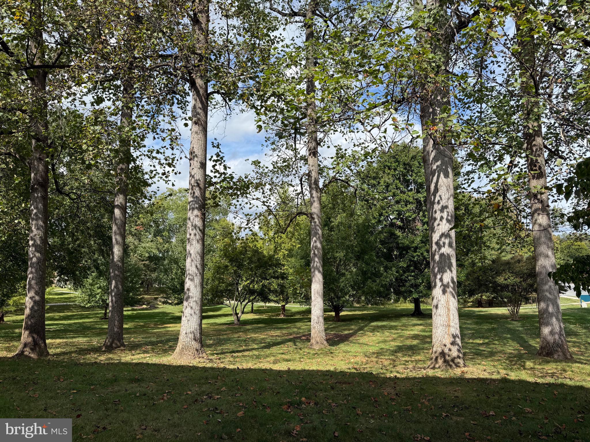 3301 South Leisure World Boulevard, Unit 991H Silver Spring, MD 20906 - Photo 8 of 25 a view of a park
