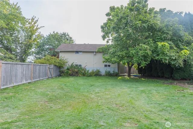 a view of a backyard with a plants and trees