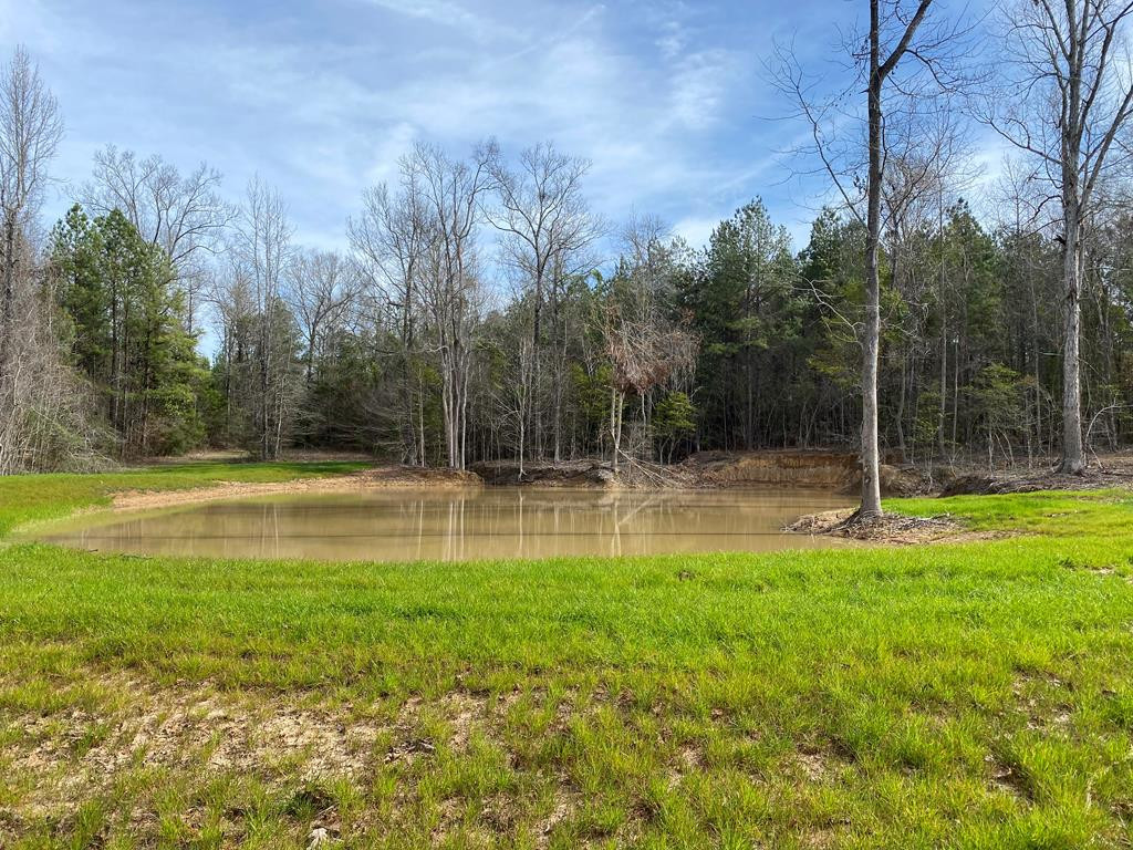 Tbd Poplar Rdg Lane Northwest Brookhaven, MS 39601 - Photo 1 of 7 Main View
