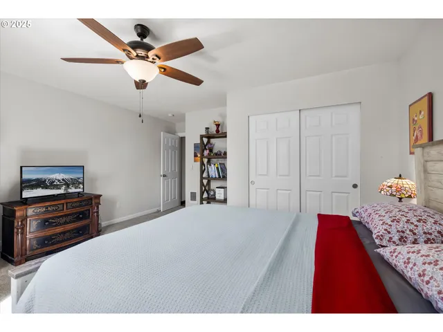 a view of a park with large trees