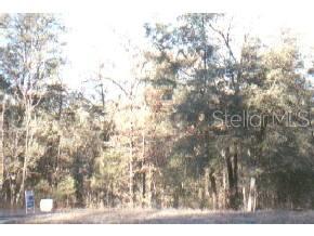 1309 Southwest 115 Street Gainesville, FL 32607 - Photo 1 of 1