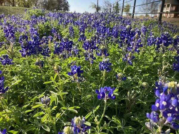 $2,499,000 | 3829 Farm To Market Road 2738, Alvarado, TX 76009