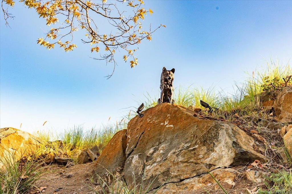 2451 Country View Escondido, CA 92026 - Photo 44 of 56