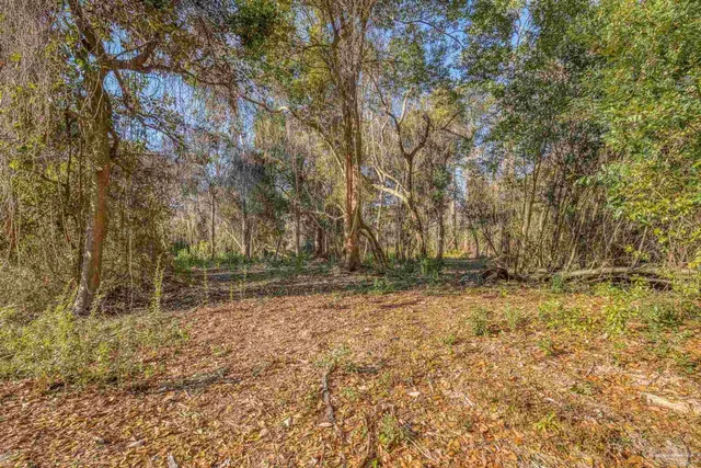 a backyard of a house with large trees