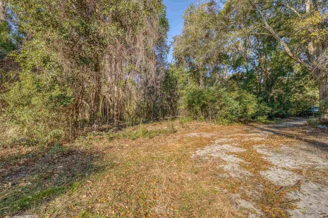 a view of a yard with a tree