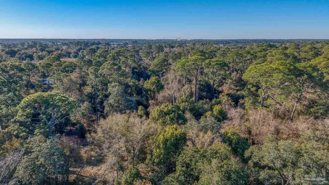 a view of a city with lush green forest