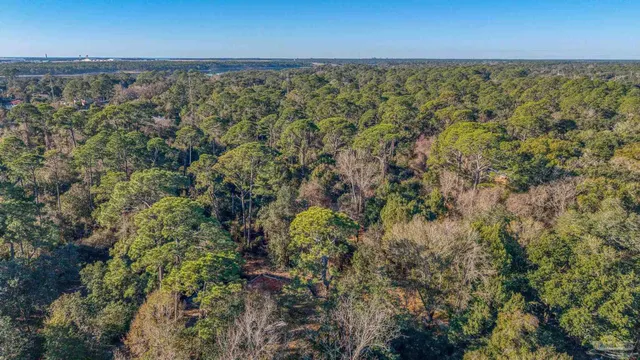 a view of a yard with an outdoor space