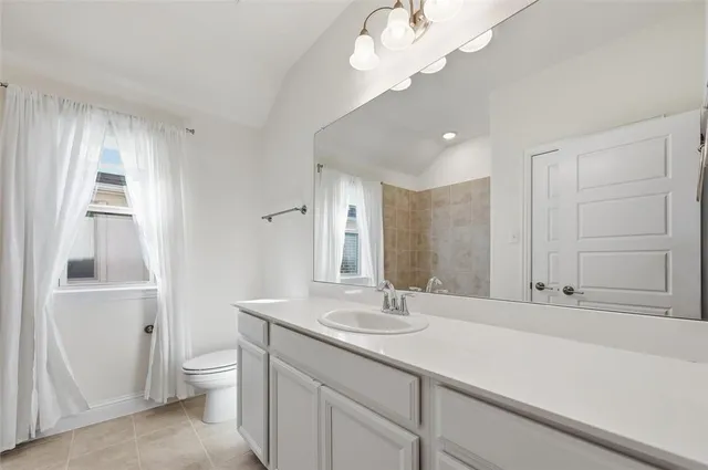 a bathroom with a sink a toilet and a large mirror