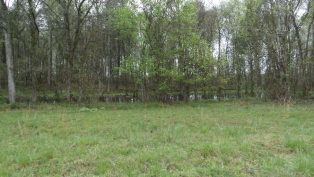 0 Denton Road Moss, TN 38575 - Photo 4 of 75 Gallery Image 4