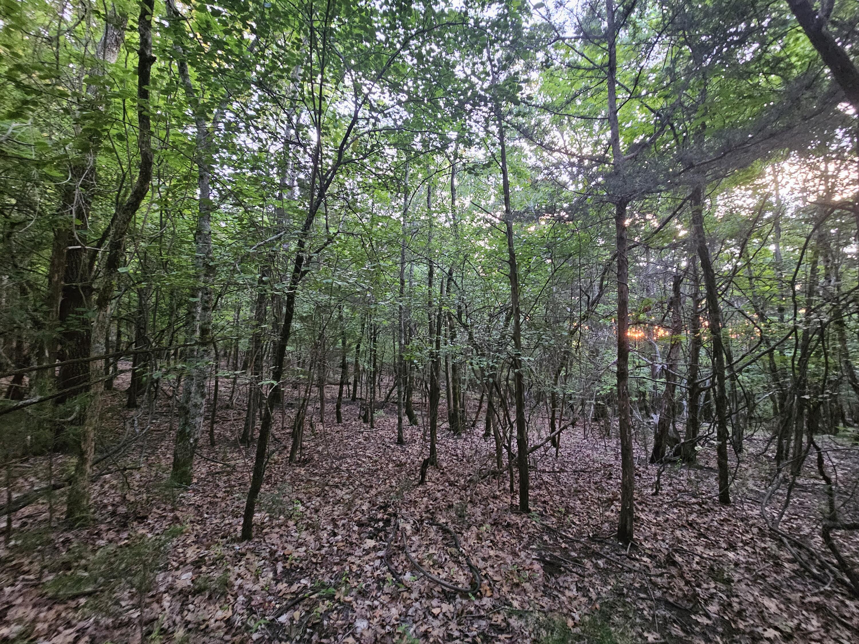 3 Sewanee Summit Road, Unit 2 AND 3 Decherd, TN 37324 - Photo 7 of 13 1000023512
