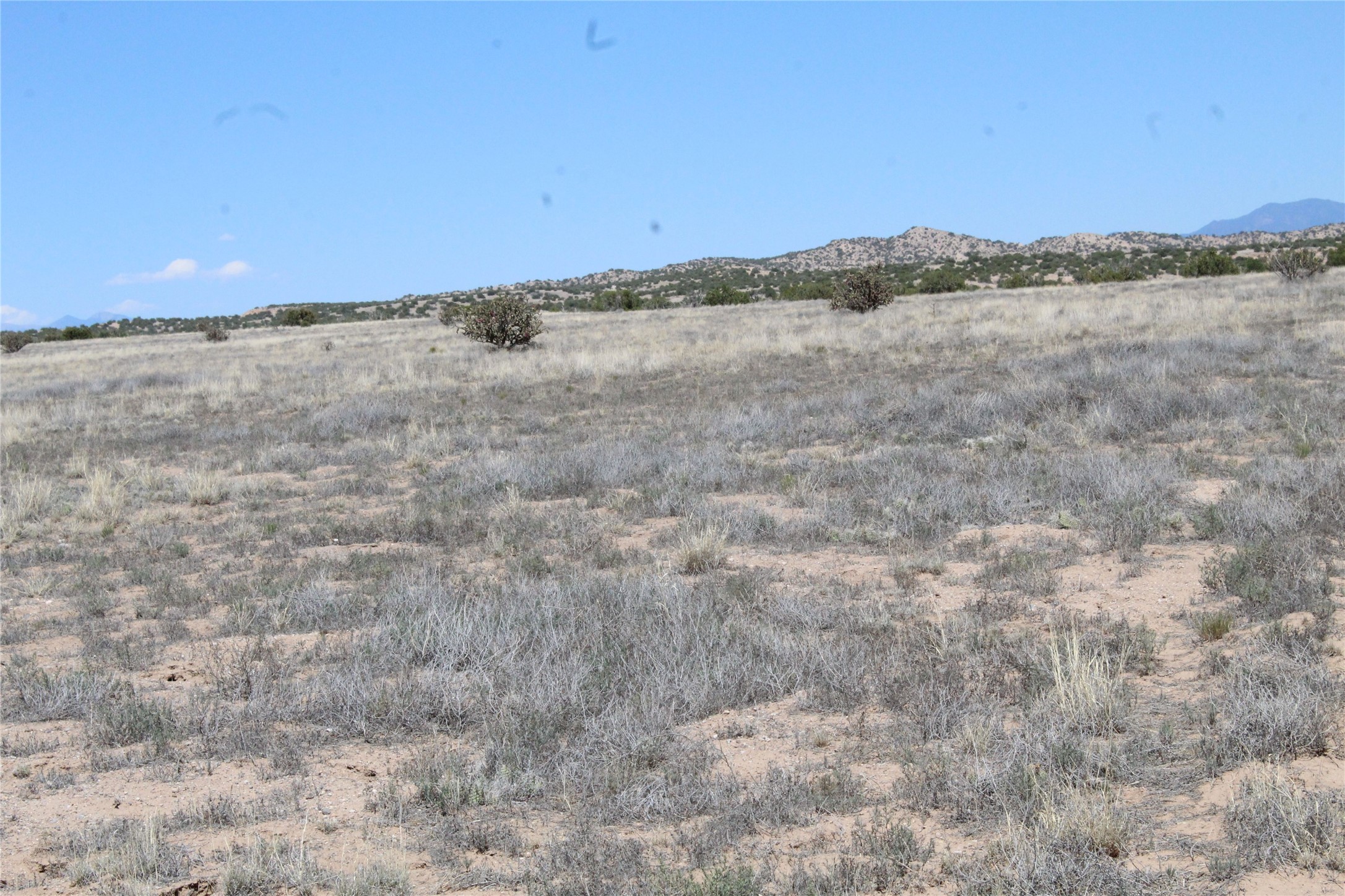 Tbd Tbd Bridle Trail Ojo Caliente, NM 87549 - Photo 6 of 7