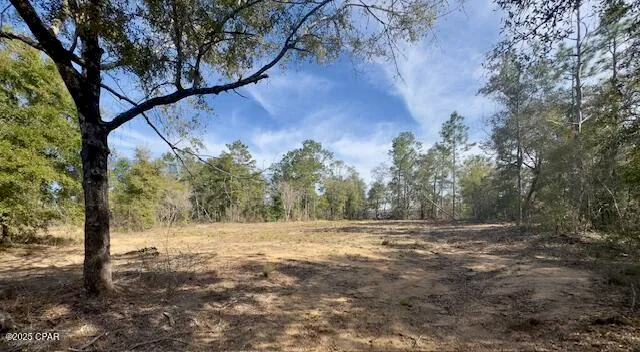 $21,900 | Lot #19 Paradise Lakes Road, Chipley, FL 32428