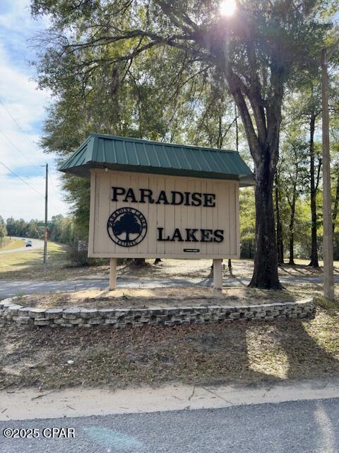 Lot #19 Paradise Lakes Road Chipley, FL 32428 - Photo 4 of 7
