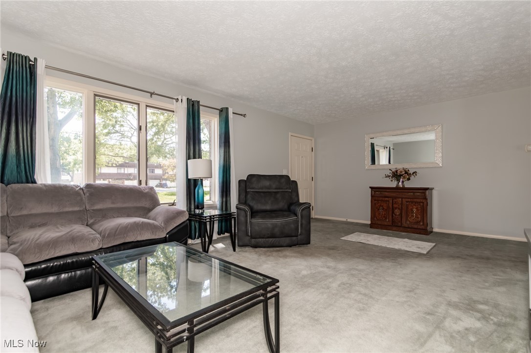 10001 Johnnycake Ridge Road Painesville, OH 44077 - Photo 4 of 40