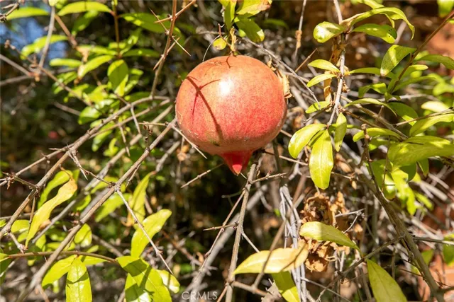 $819,999 | 7419 Kraft Avenue, North Hollywood, CA 91605