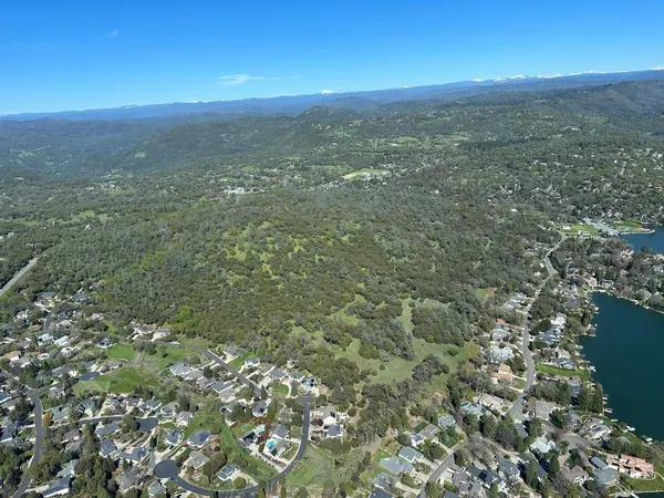 a view of a city with lush green forest