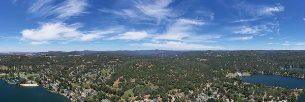 a view of a city with lush green forest