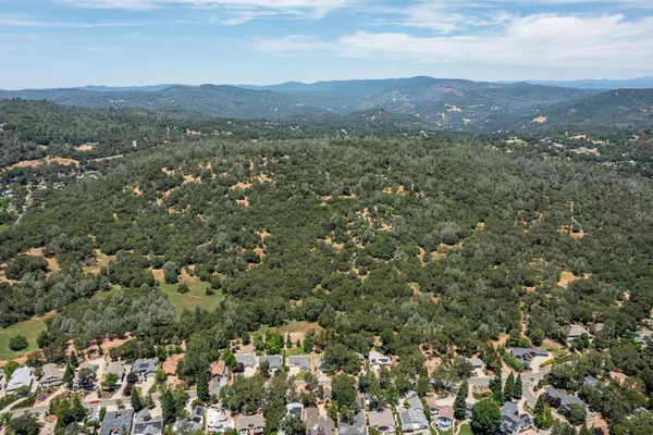 a view of a city with lush green forest