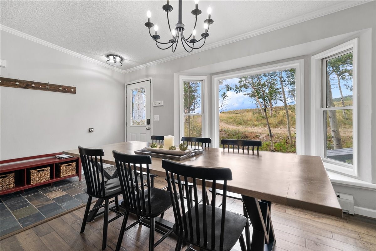 271 Sheep Ridge Road Fairplay, CO 80440 - Photo 8 of 50 Gallery Image 8