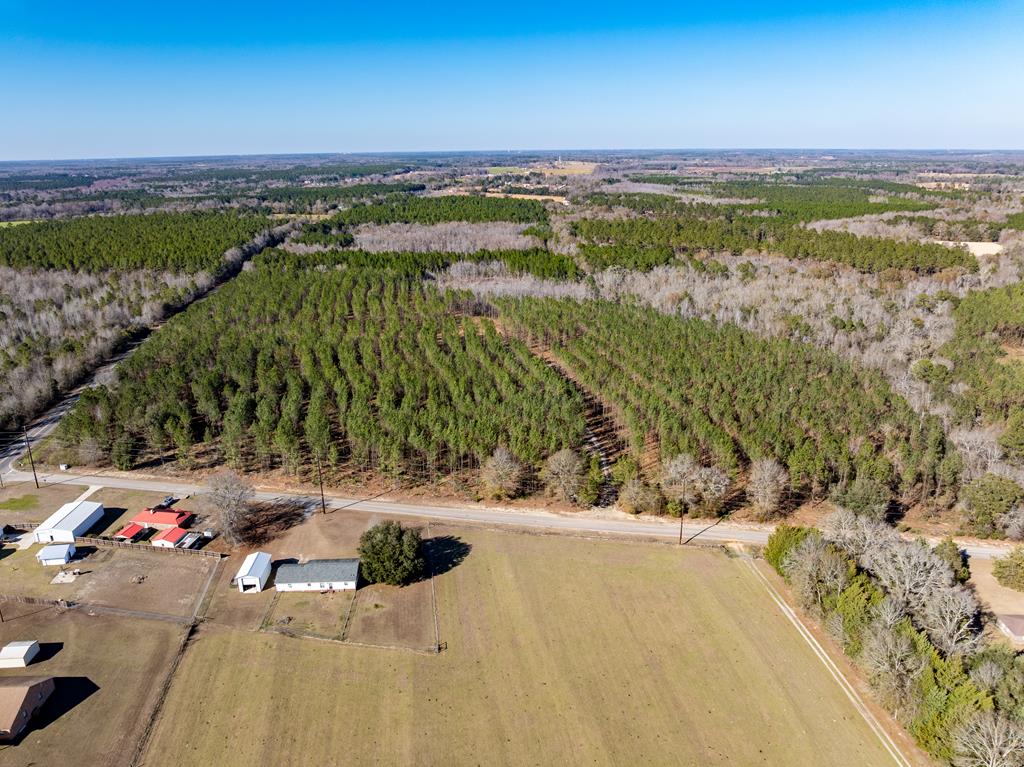 Lot 3-15 -ac Cottonwood Rd/ Phillips Road Cottonwood, AL 36320 - Photo 44 of 49