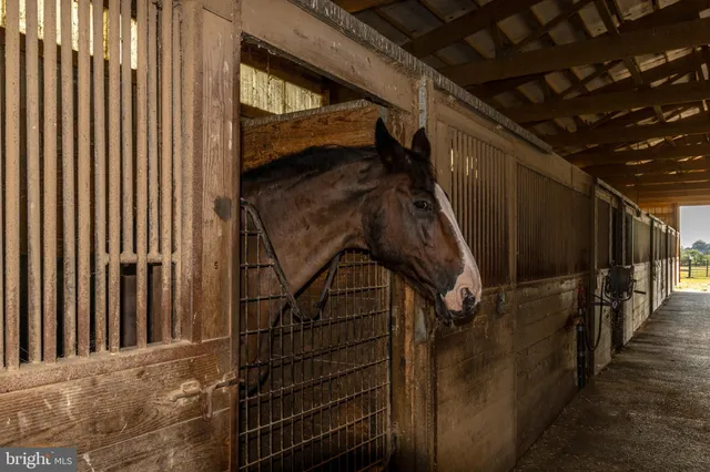a view of a house with an outdoor space