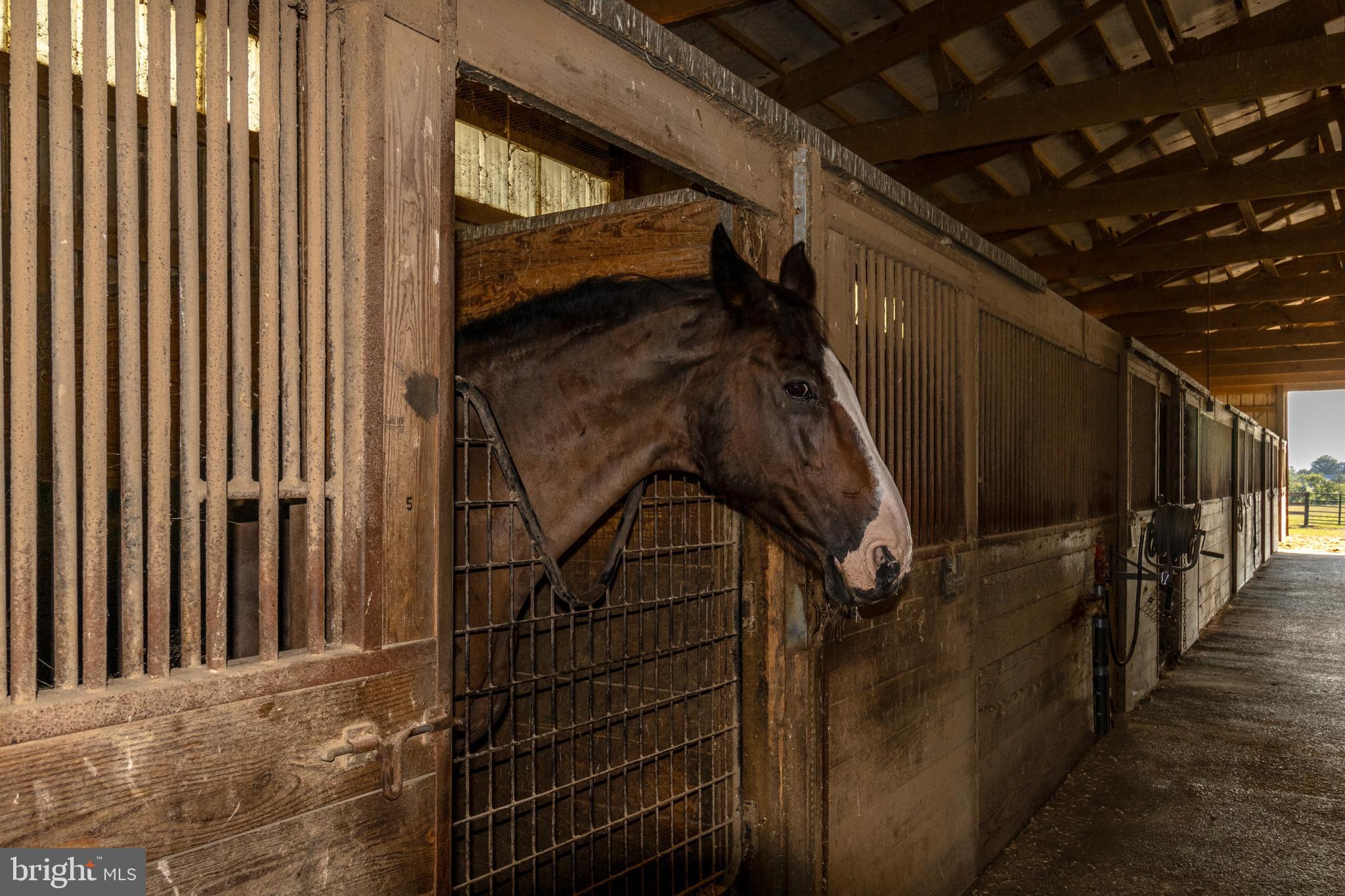 255 Sheaffer Road Carlisle, PA 17013 - Photo 8 of 25