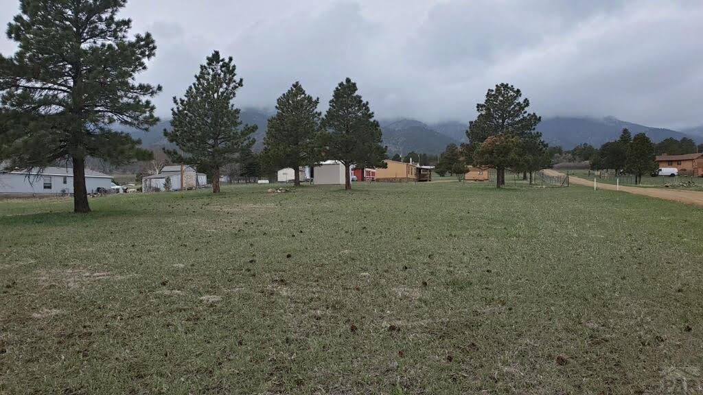 8066 Oak Drive Rye, CO 81069 - Photo 10 of 12 Gallery Image 10