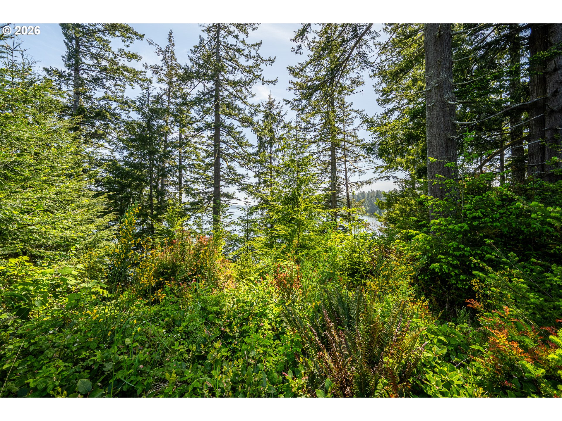 Clear Lake, Unit 20 Florence, OR 97439 - Photo 10 of 16