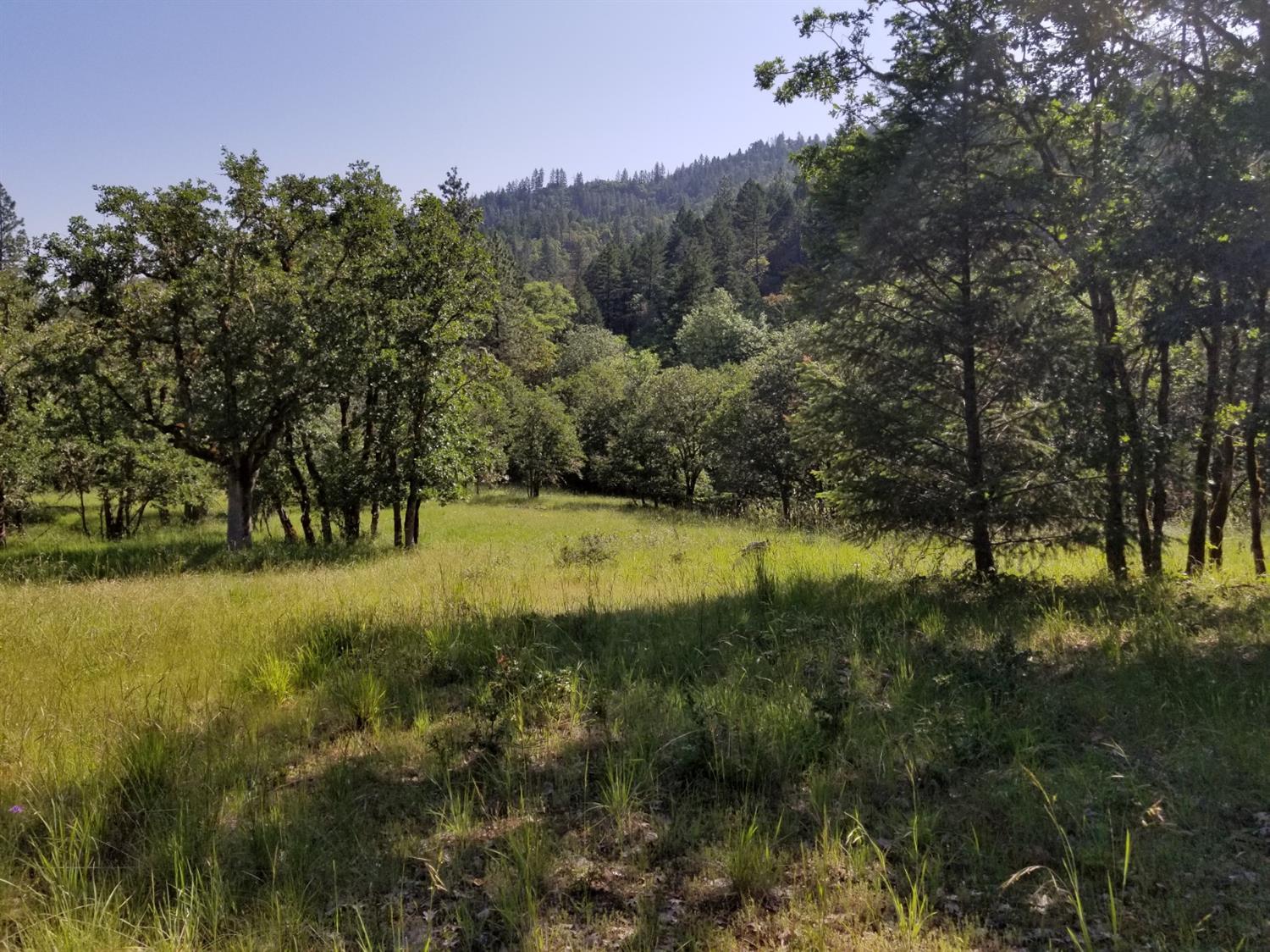 3599 Kane Creek Road Central Point, OR 97502 - Photo 3 of 20