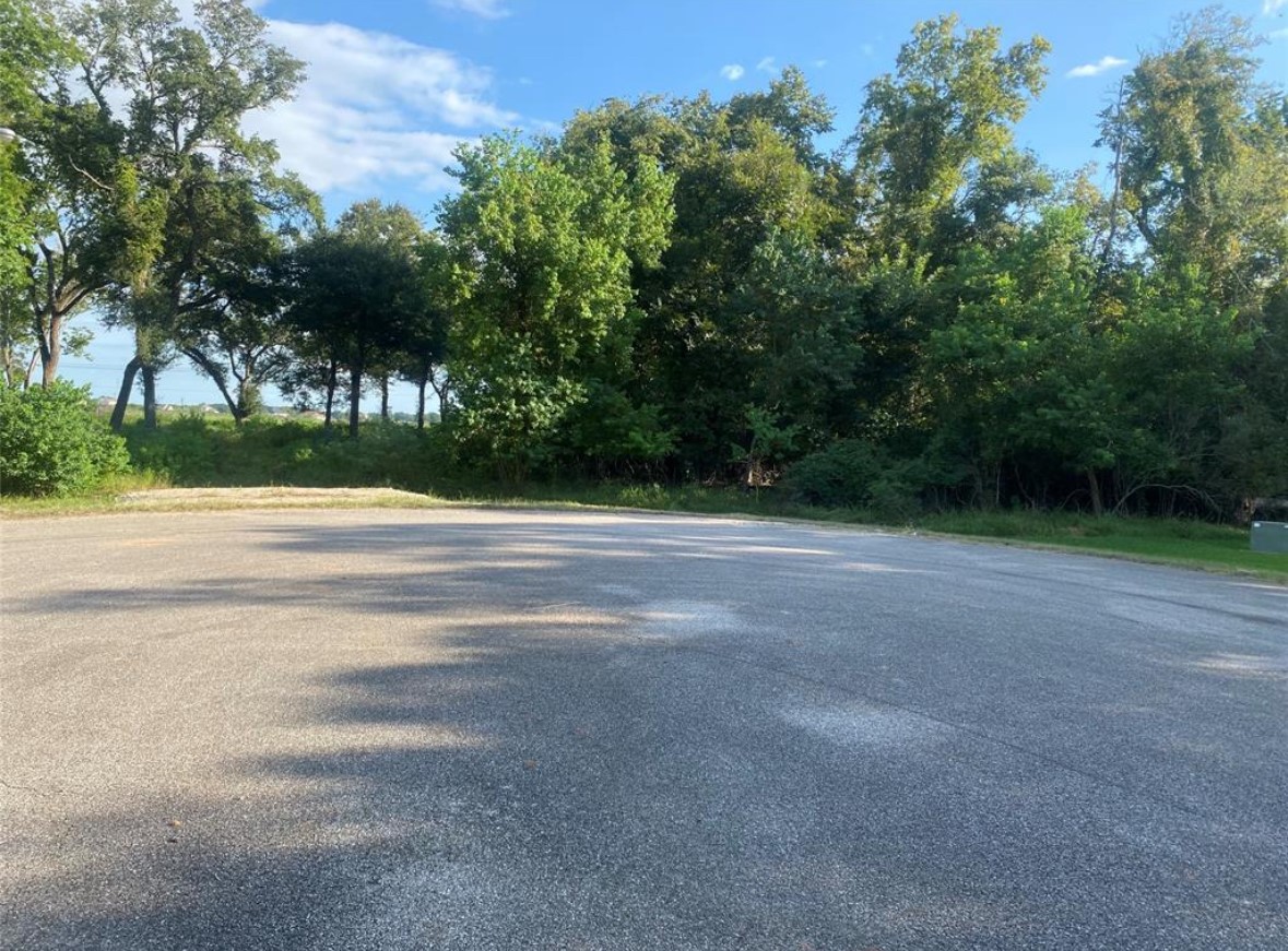 17850 Indian Forest Court Rosharon, TX 77583 - Photo 3 of 5