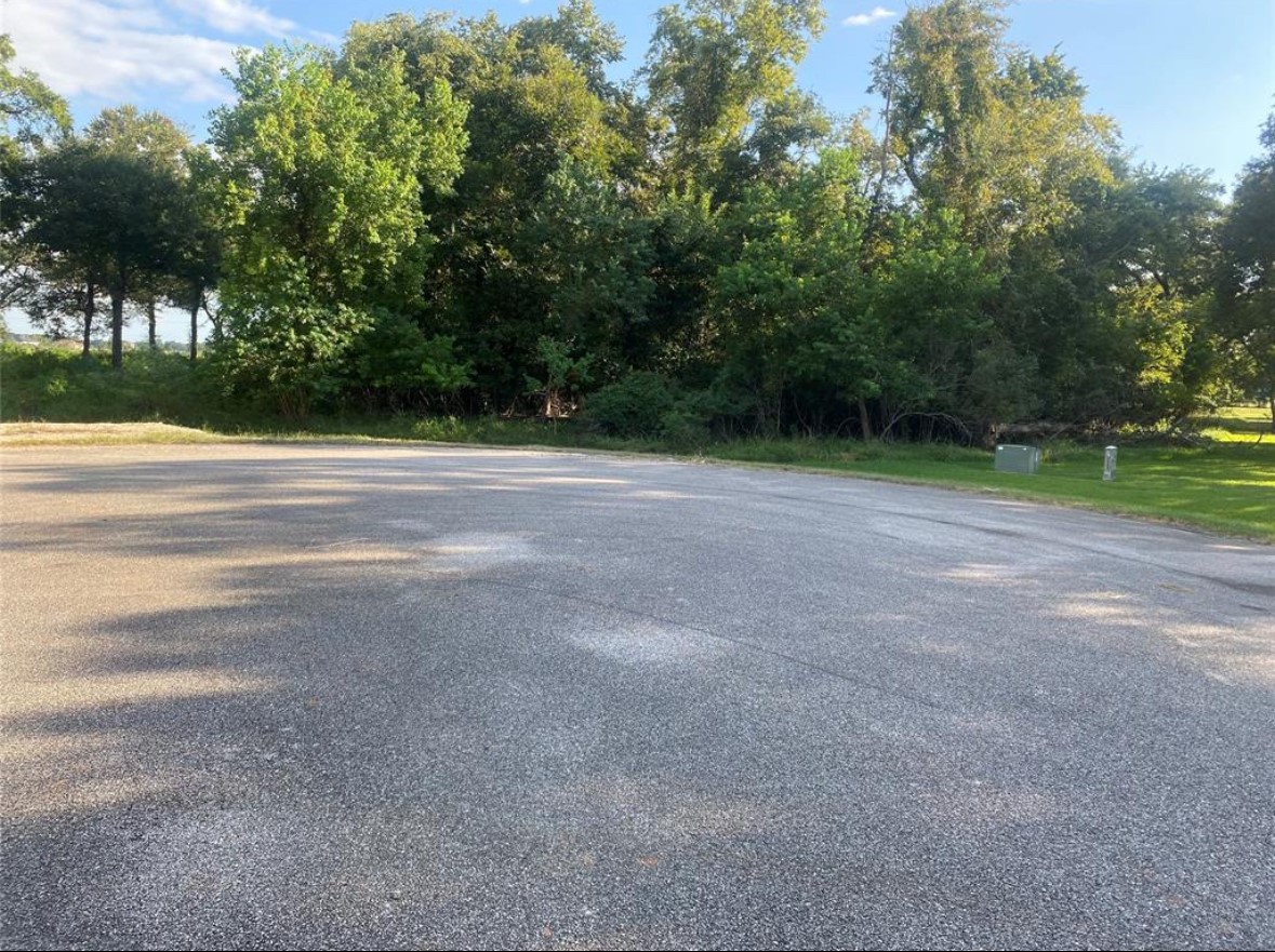 17850 Indian Forest Court Rosharon, TX 77583 - Photo 4 of 5