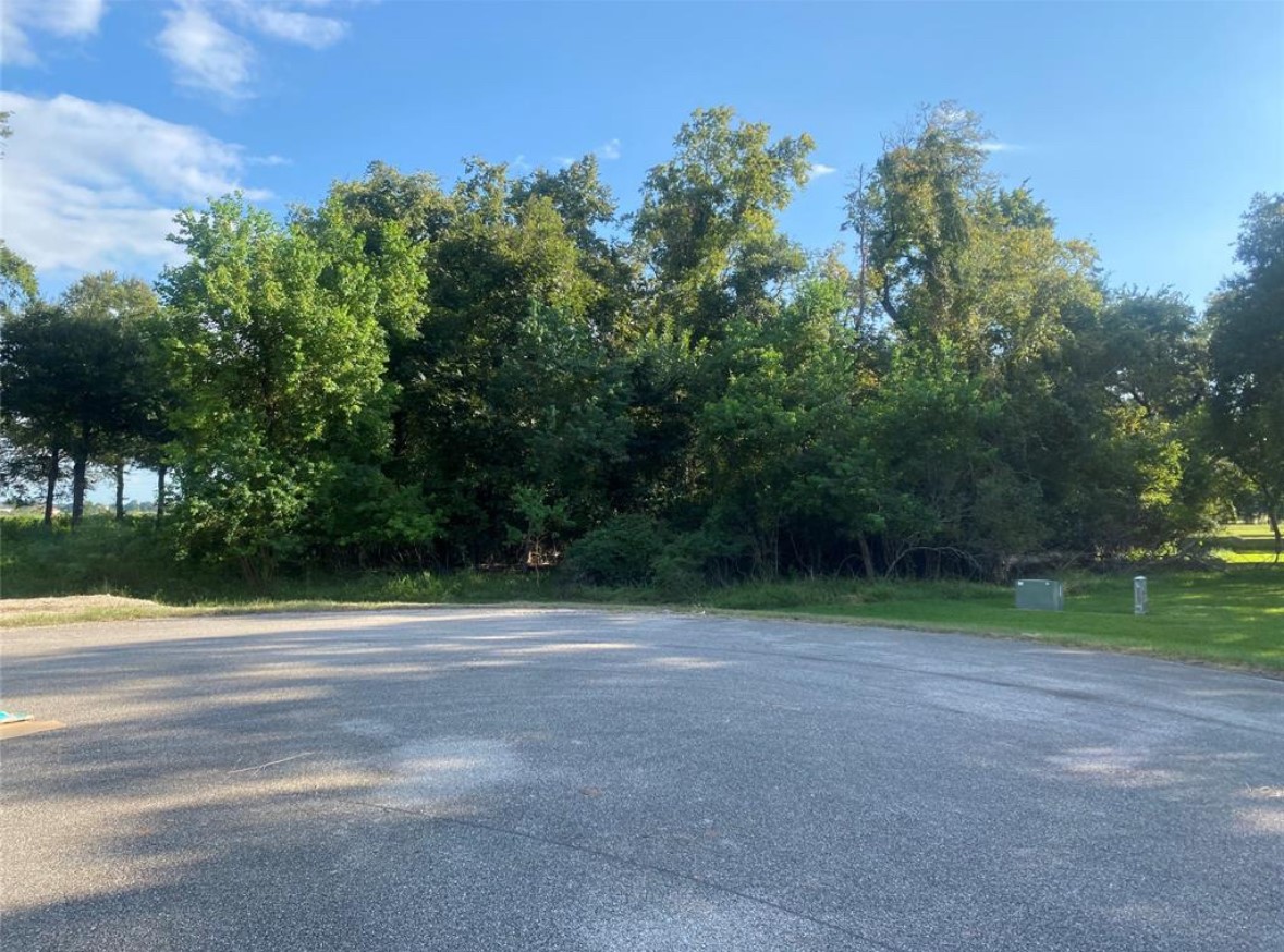 17850 Indian Forest Court Rosharon, TX 77583 - Photo 5 of 5