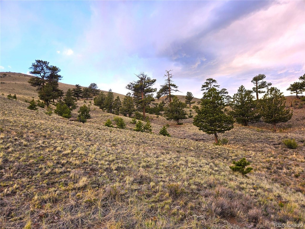 25427 Yuma Road Hartsel, CO 80449 - Photo 18 of 31
