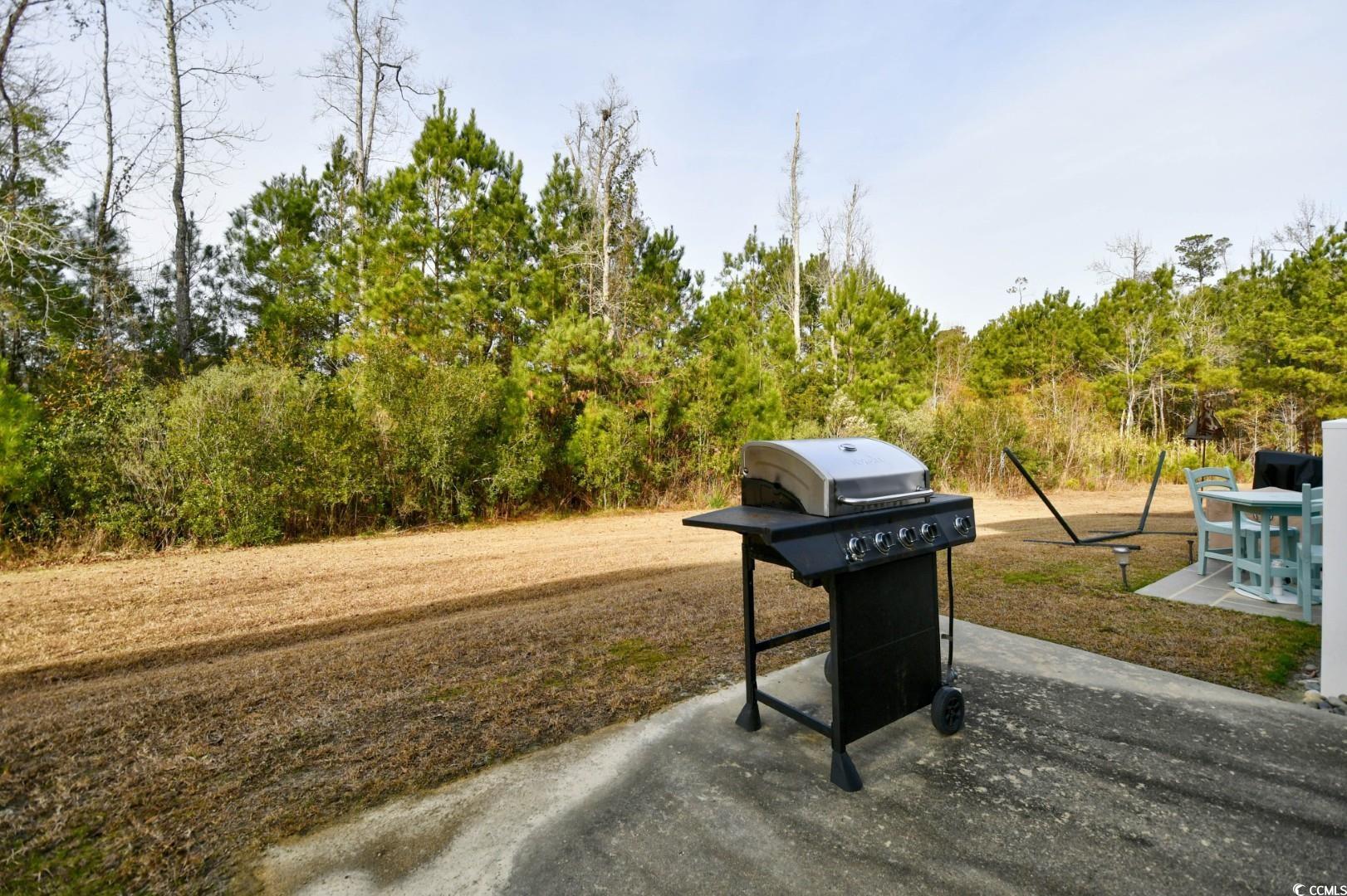 837 Triple Court, Unit 837 Myrtle Beach, SC 29588 - Photo 30 of 36