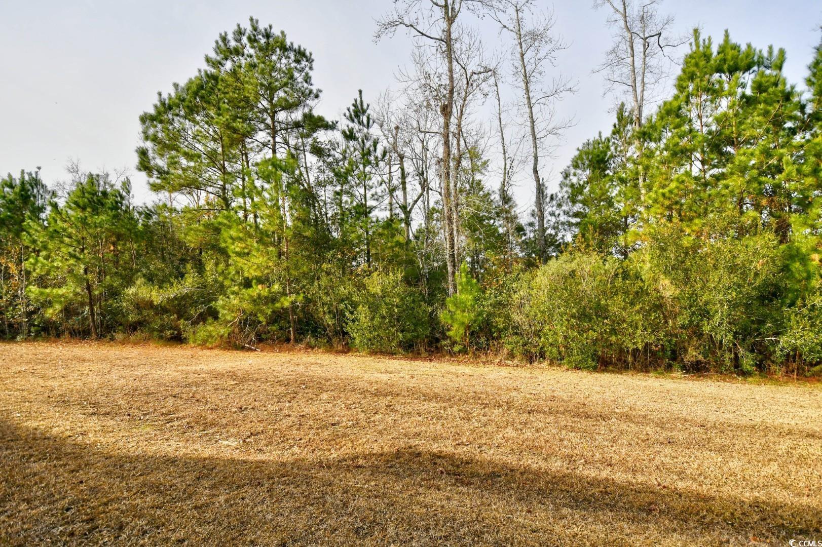 837 Triple Court, Unit 837 Myrtle Beach, SC 29588 - Photo 31 of 36