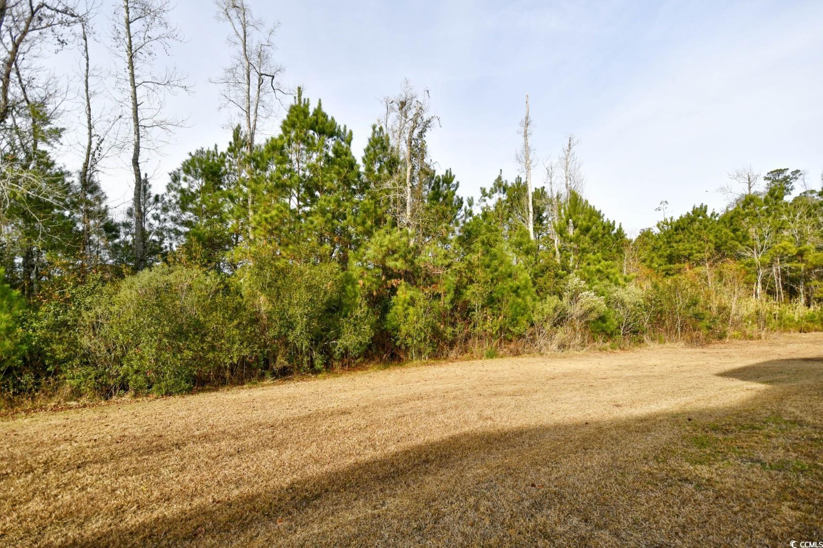 837 Triple Court, Unit 837 Myrtle Beach, SC 29588 - Photo 32 of 36