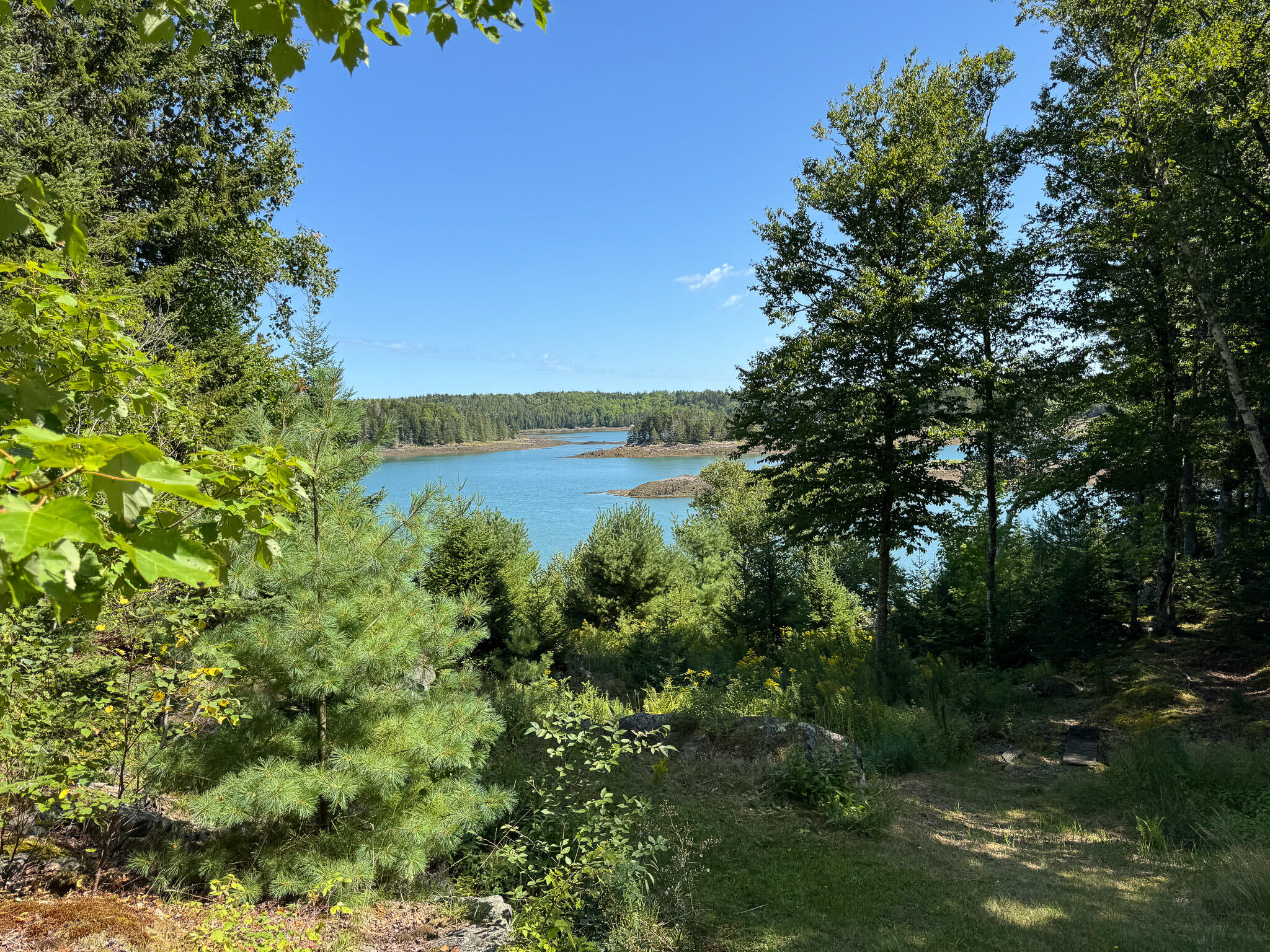 255 Coffins Neck Road Lubec, ME 04652 - Photo 37 of 37 37
