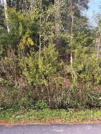 $70,000 | 0 Burvant Street, Abita Springs, LA 70420