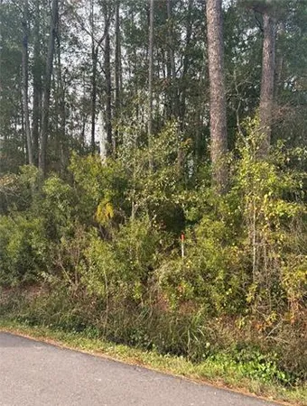 $70,000 | 0 Burvant Street, Abita Springs, LA 70420