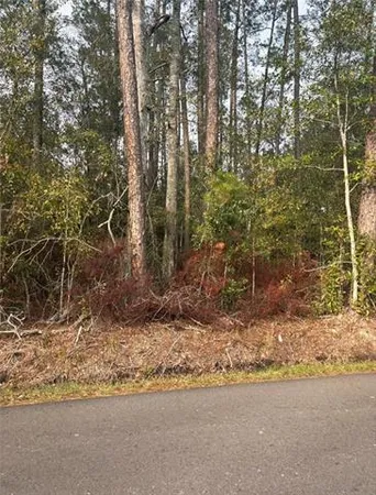 $70,000 | 0 Burvant Street, Abita Springs, LA 70420