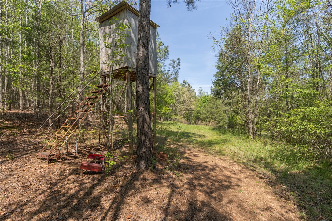 820 Travis Road Anderson, SC 29626 - Photo 44 of 46 This scenic wooded property features a rustic hunting blind, perfect for nature enthusiasts.