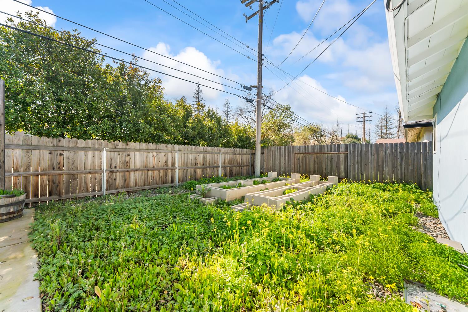 3620 Sean Drive Sacramento, CA 95821 - Photo 23 of 23 a view of a backyard with a fence