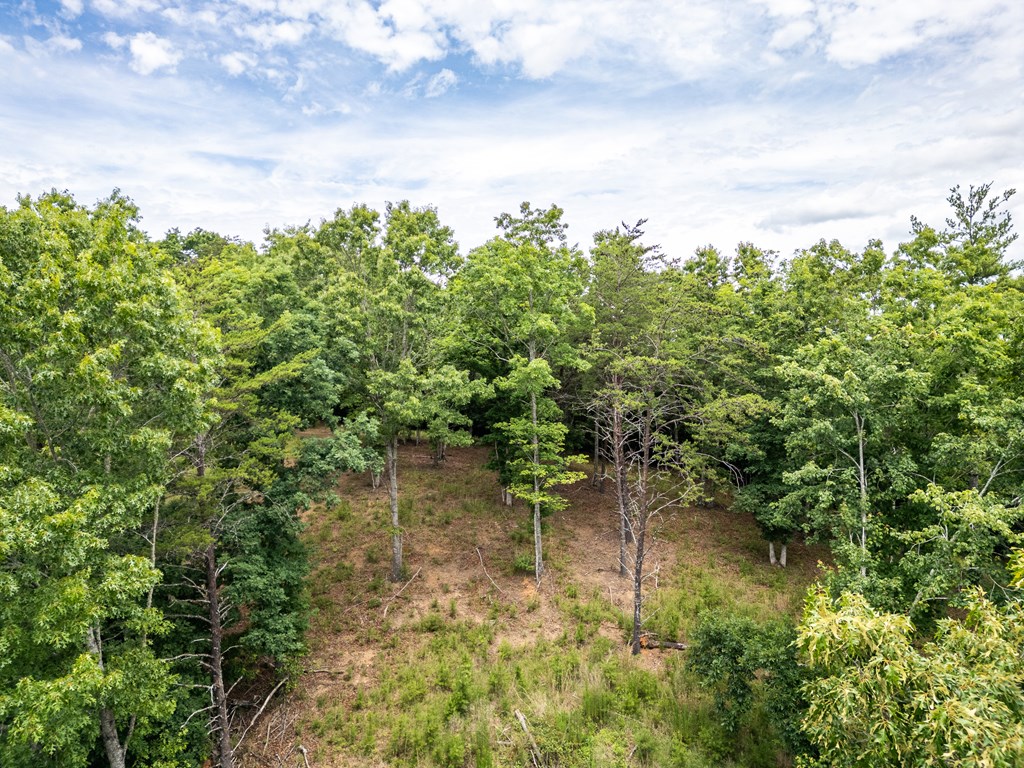 1 Stormy Ridge Brasstown, NC 28902 - Photo 13 of 20