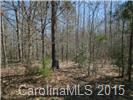 15.6-ac Killian Road Edgemoor, SC 29712 - Photo 5 of 8