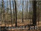 15.6-ac Killian Road Edgemoor, SC 29712 - Photo 6 of 8