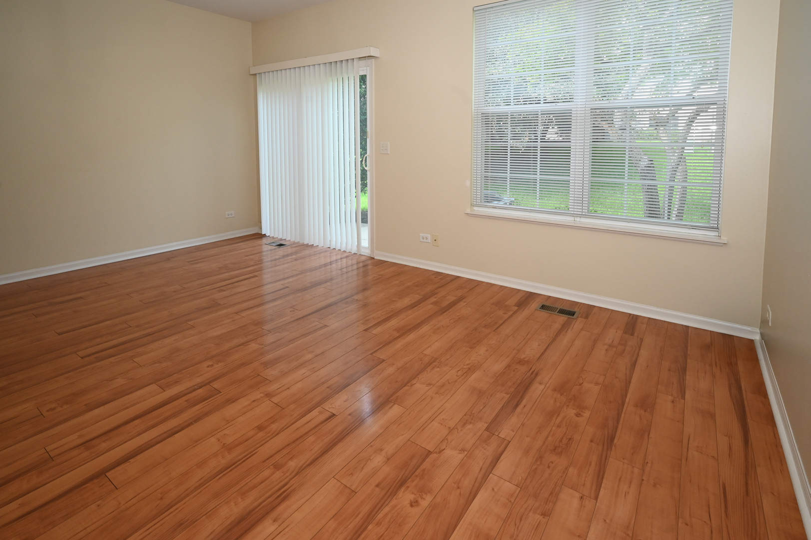 573 Telluride Drive Gilberts, IL 60136 - Photo 10 of 24 an empty room with wooden floor and windows