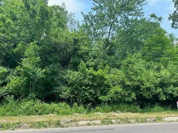 $6,000 | 0 Evelyn Street, Jackson, MI 49203